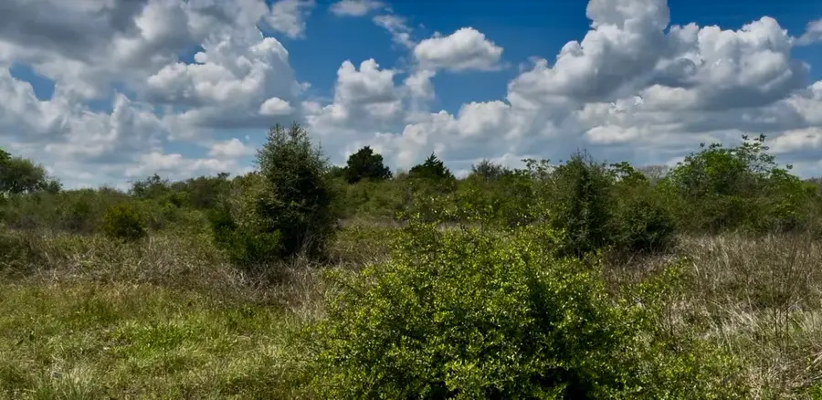 5815 Wild Flower Road, Sealy, TX 77474 - #2