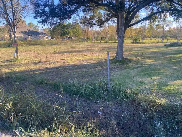 74444 King Street, Manvel, TX 77578 - Image #3