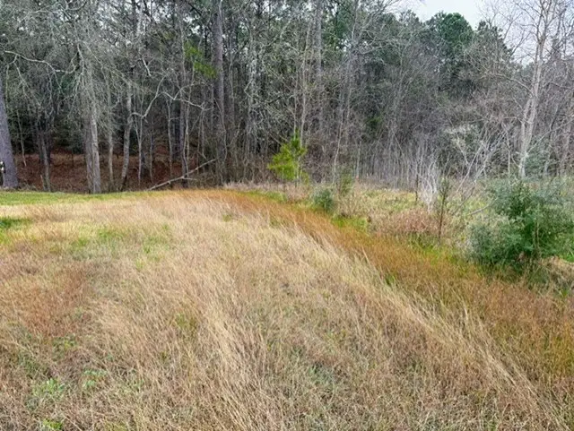 0 Hwy 61, Anahuac, TX 77514 - #3