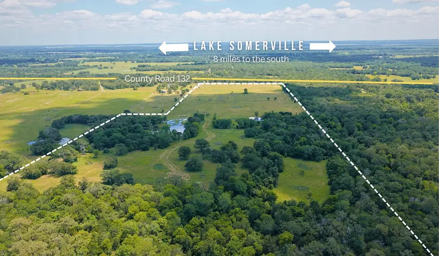 TBD County Road 132 - 74 Acres, Caldwell, TX 77836 - #2
