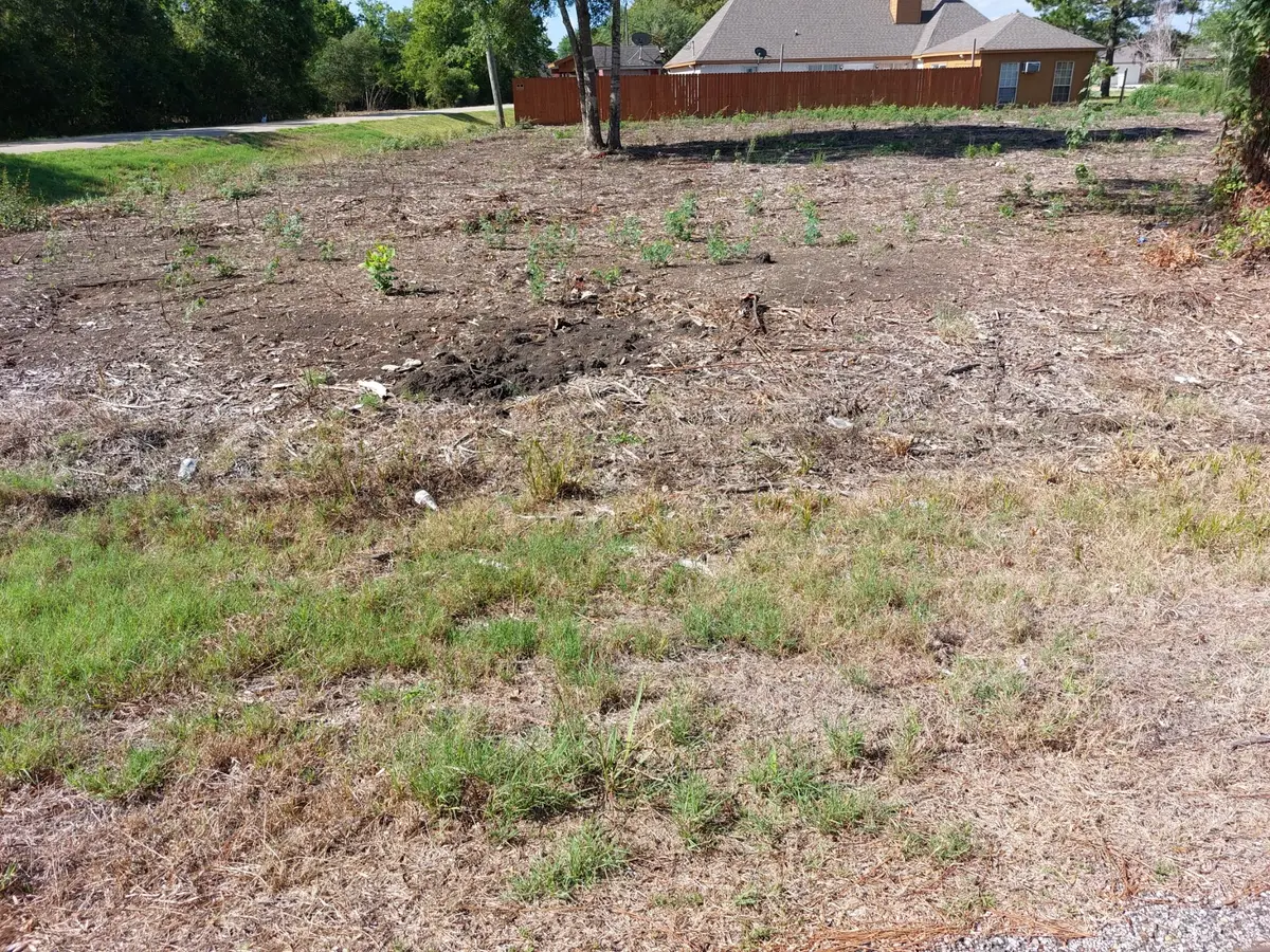 0 Texas Avenue, Arcola, TX 77583 - Image #1