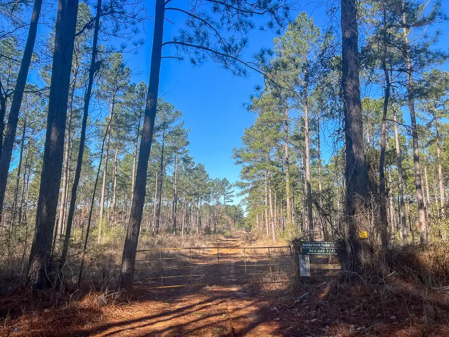 3 Louisville Road, Pennington, TX 75845 - #2