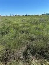 339 Merganzer, Sargent, TX 77414