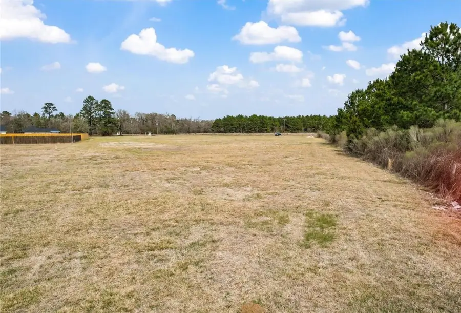 L-138 Fm 3126, Livingston, TX 77351 - #3