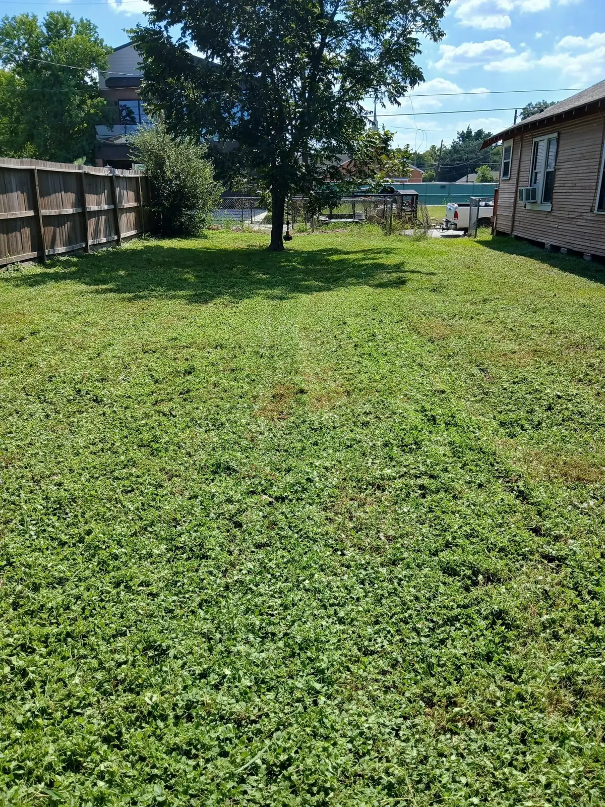 3435 Anita Street, Houston, TX 77004 - #1