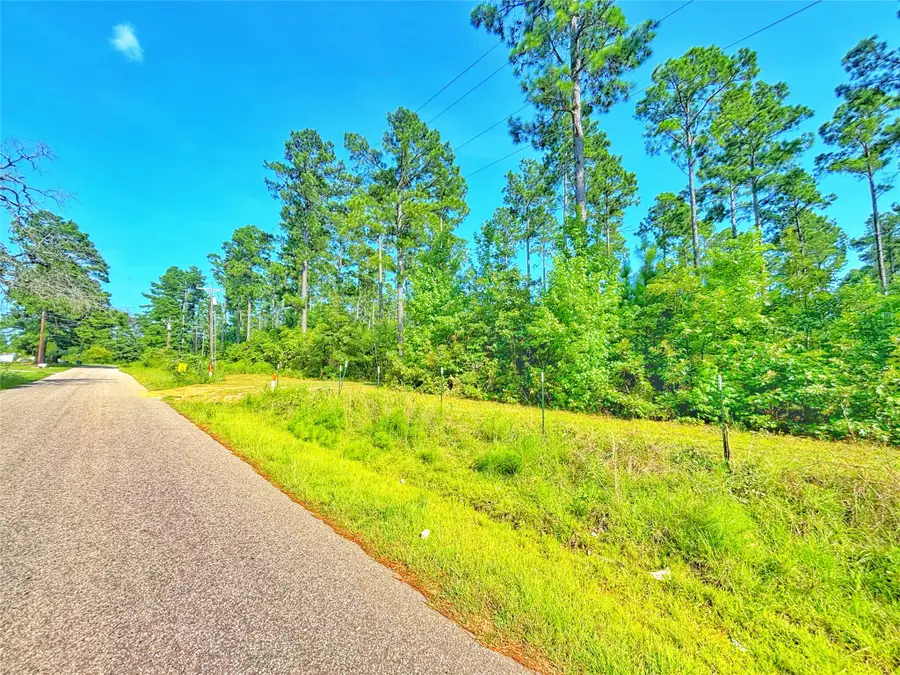 2230 Cr 157, Palestine, TX 75801 - #3