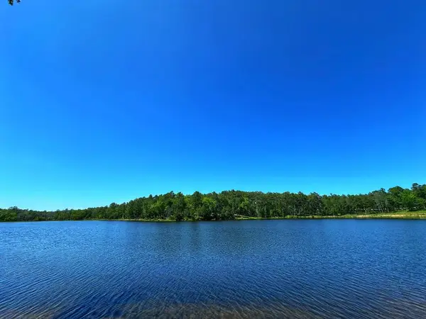 Tract 153 Pr 1311, Centerville, TX 75833