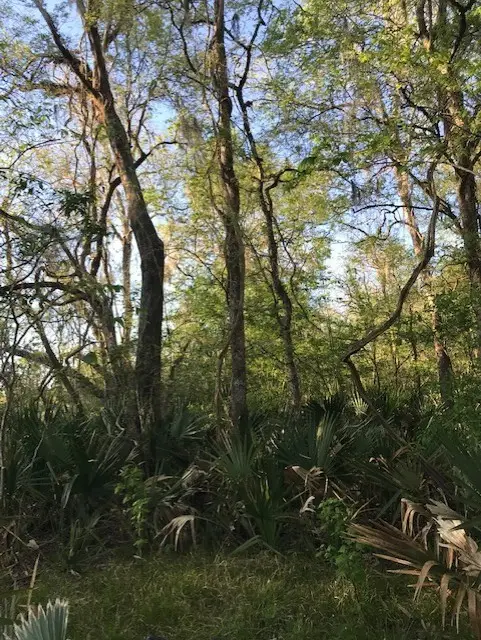 0 E Live Oak Road, Van Vleck, TX 77482 - #3