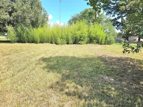 Lot 15 Monticello Street, Trinity, TX 75862