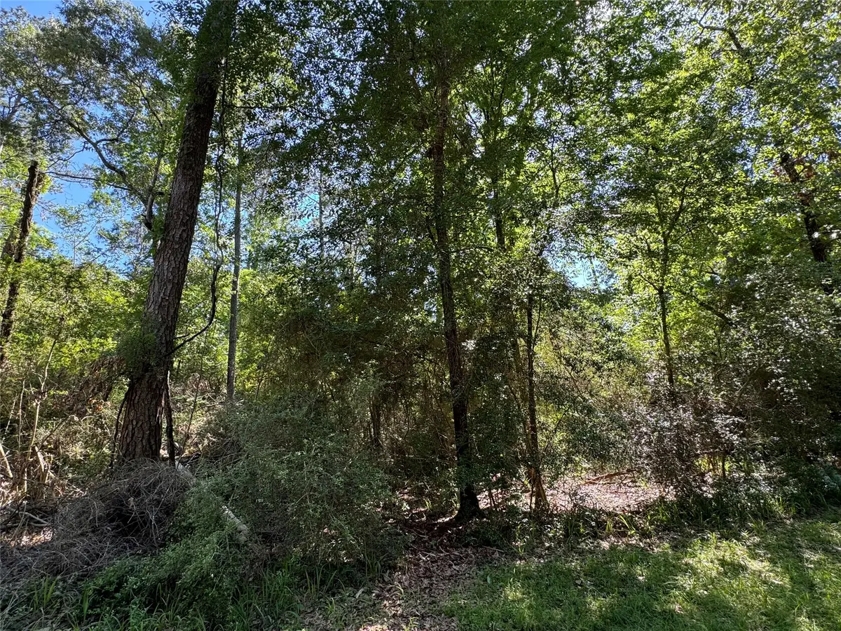 28 Laurel Oak, Trinity, TX 75862 - #1