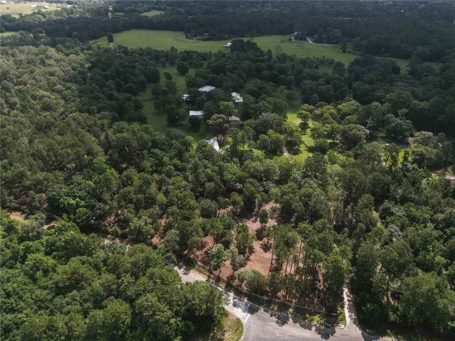 11041 Fm 1774, Plantersville, TX 77363 - #3