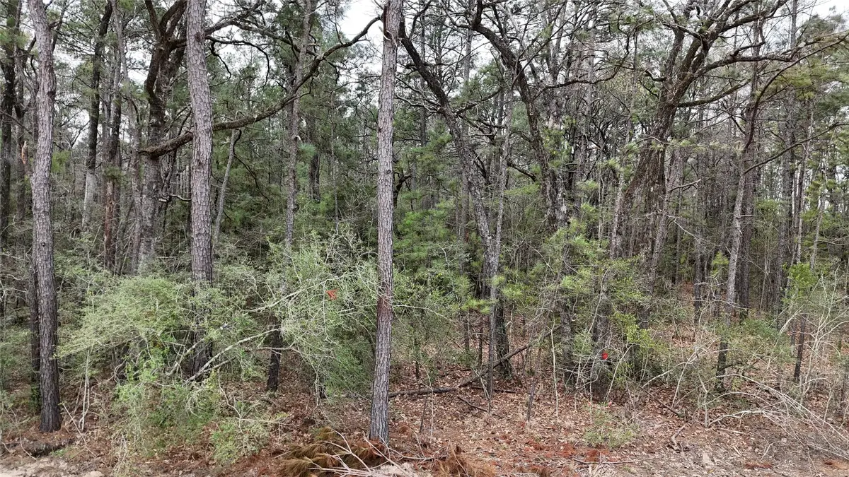 TBD Eureka, Corrigan, TX 75939 - #1