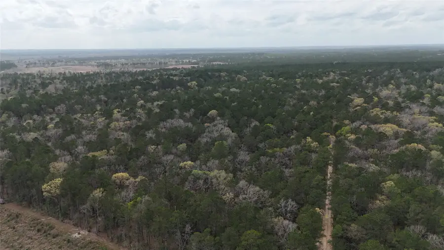 TBD Eureka, Corrigan, TX 75939 - #3