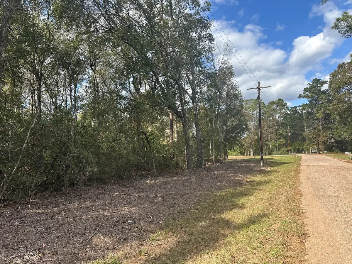 TBD Little Pine Valley Road, Cleveland, TX 77327 - Image #1