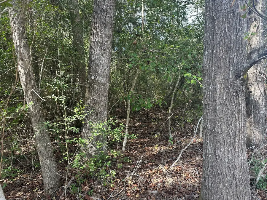 TBD Little Pine Valley Road, Cleveland, TX 77327 - Image #3