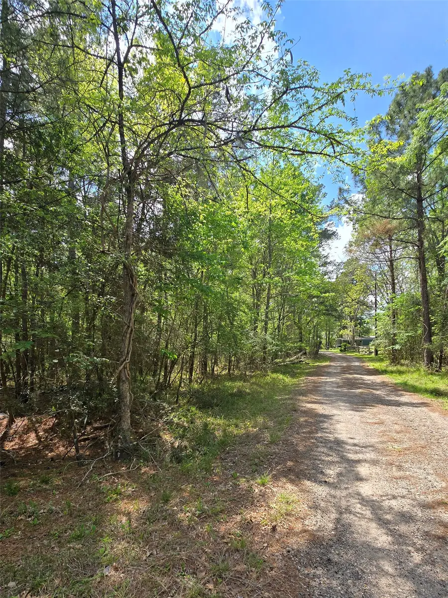 0 Elm Drive Drive, Huntsville, TX 77320 - #2