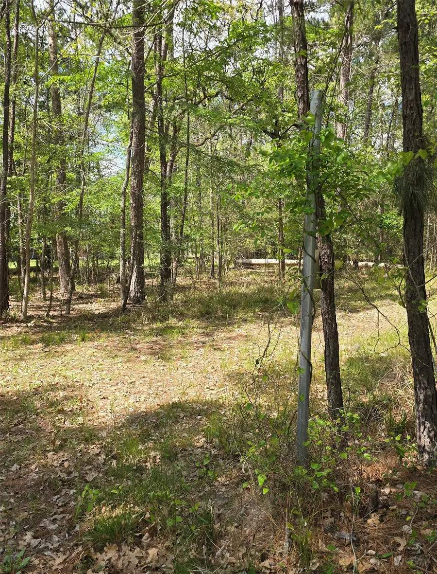 0 Elm Drive Drive, Huntsville, TX 77320 - #3