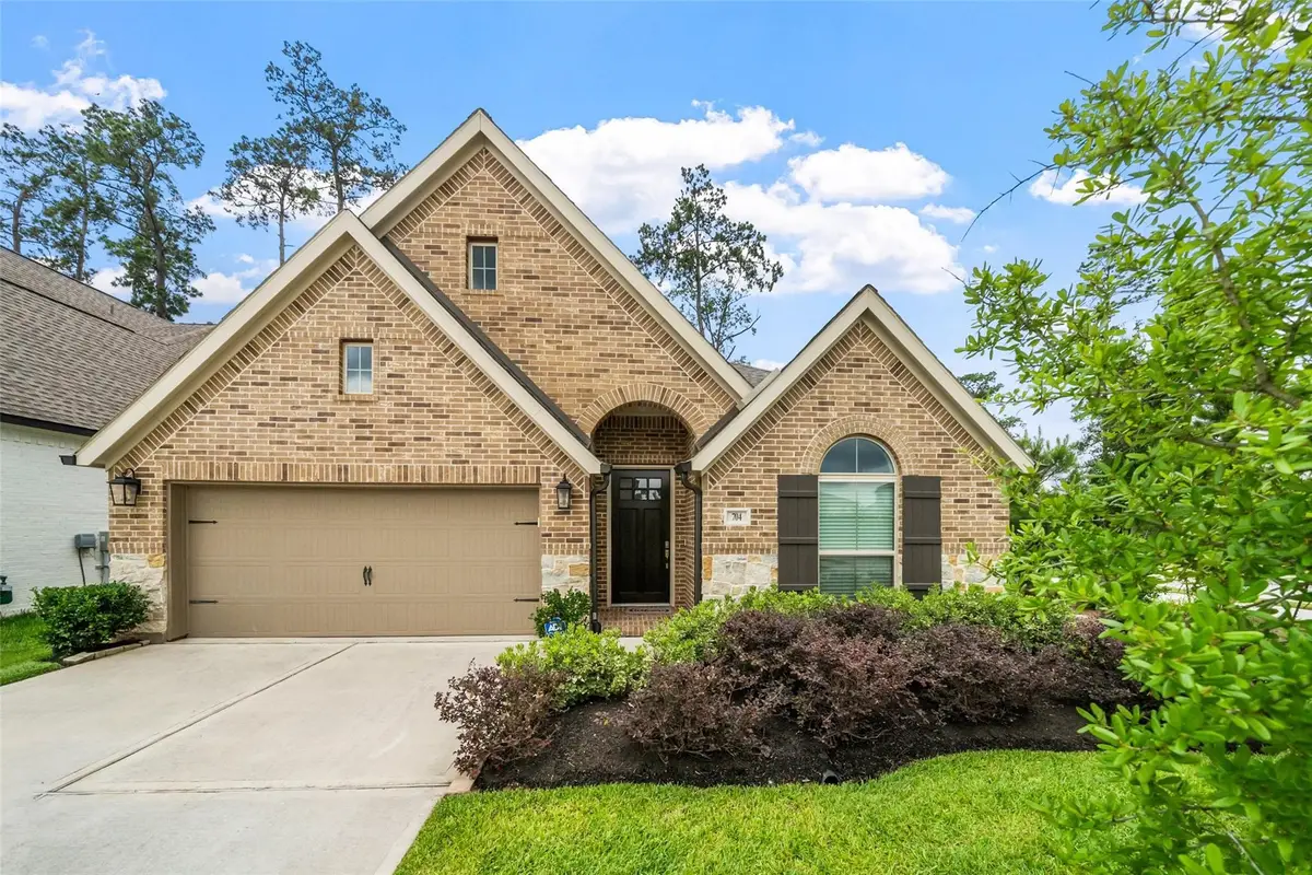 704 Fall Rock Branch Drive, Conroe, TX 77304 - #1