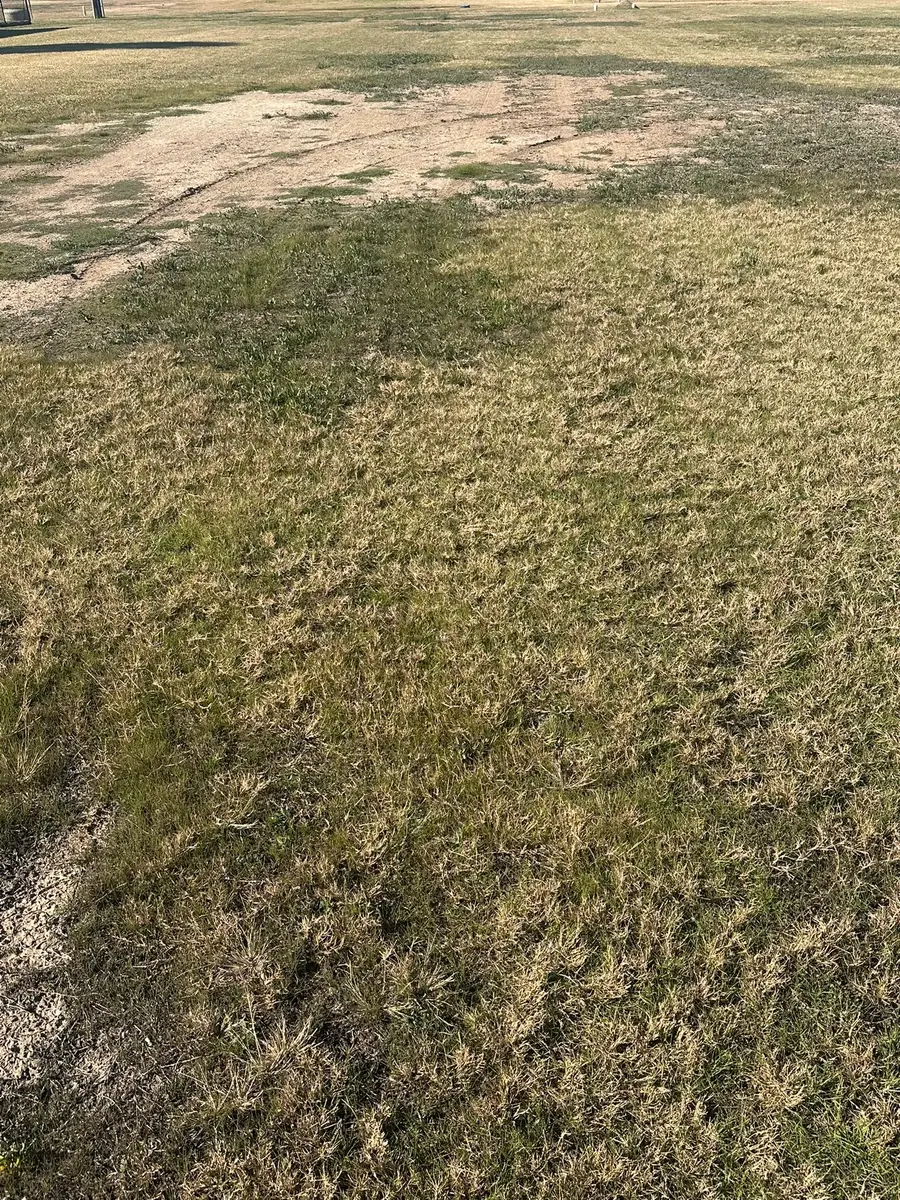 0 Mobile Street, Matagorda, TX 77457 - #3