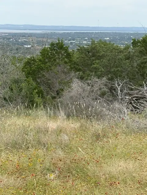 00 Crown Lane, Burnet, TX 78611 - #3