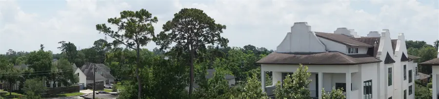 1602 Janak Garden Lane, Houston, TX 77055 - #3