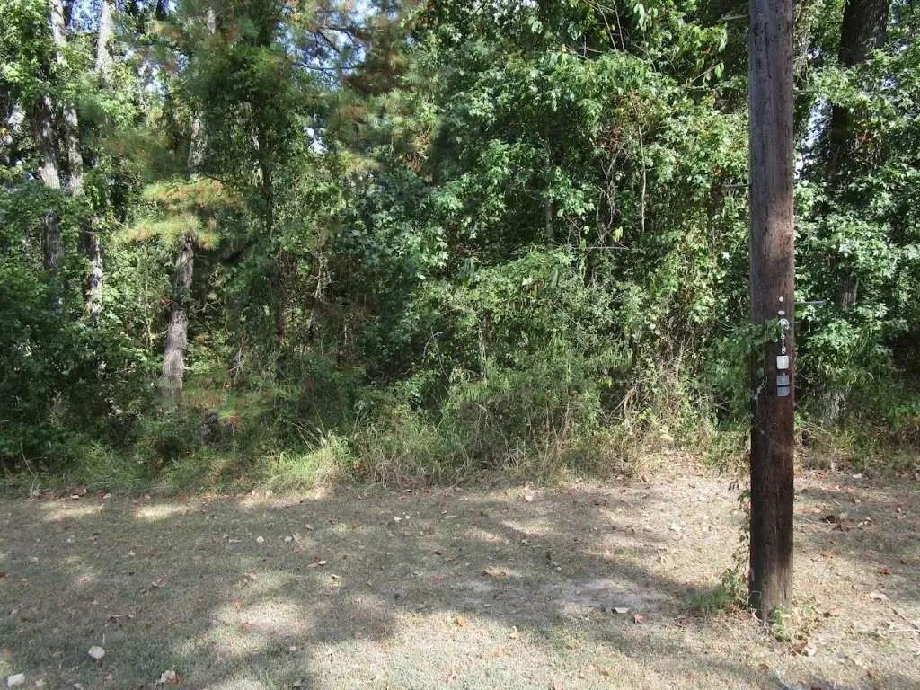 183 Lakeland Road, Huntsville, TX 77320 - #1
