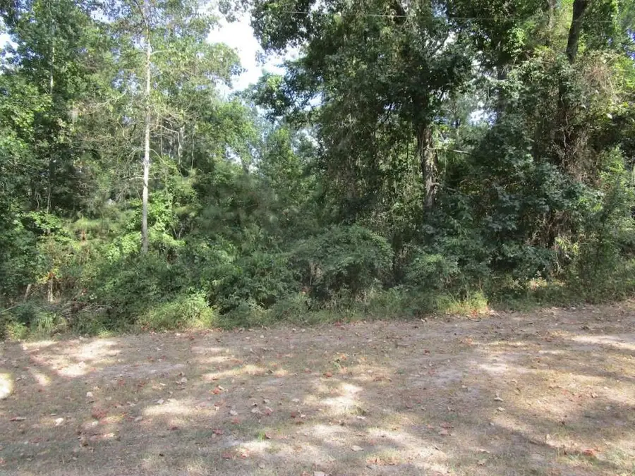 183 Lakeland Road, Huntsville, TX 77320 - #3