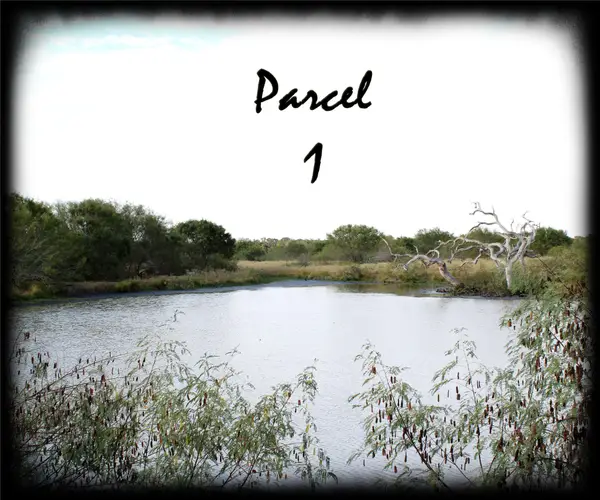 Parcel 1 Lobo Lane, Columbus, TX 78934