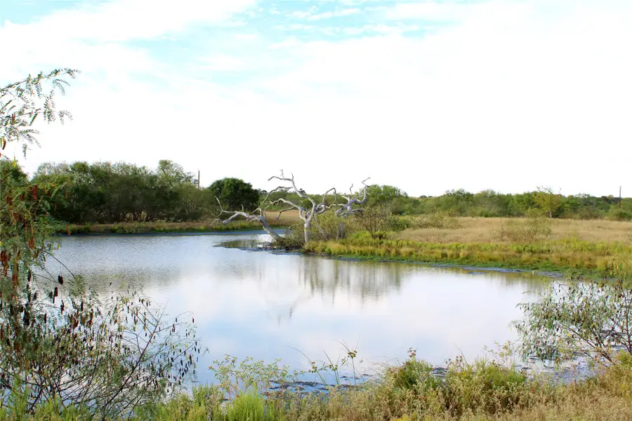 Parcel 1 Lobo Lane, Columbus, TX 78934 - #3