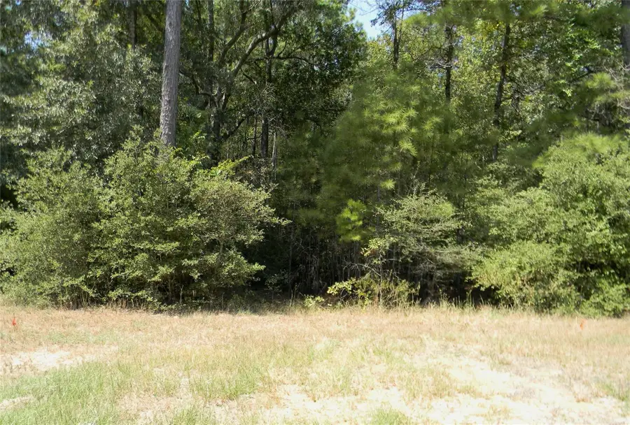 31643 Stone Bridge Parkway, Waller, TX 77484 - #2