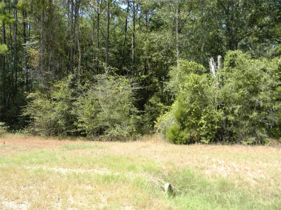 31643 Stone Bridge Parkway, Waller, TX 77484 - #3