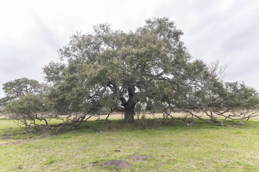 1747 E Old Hallettsville Road, Flatonia, TX 78941 - #2