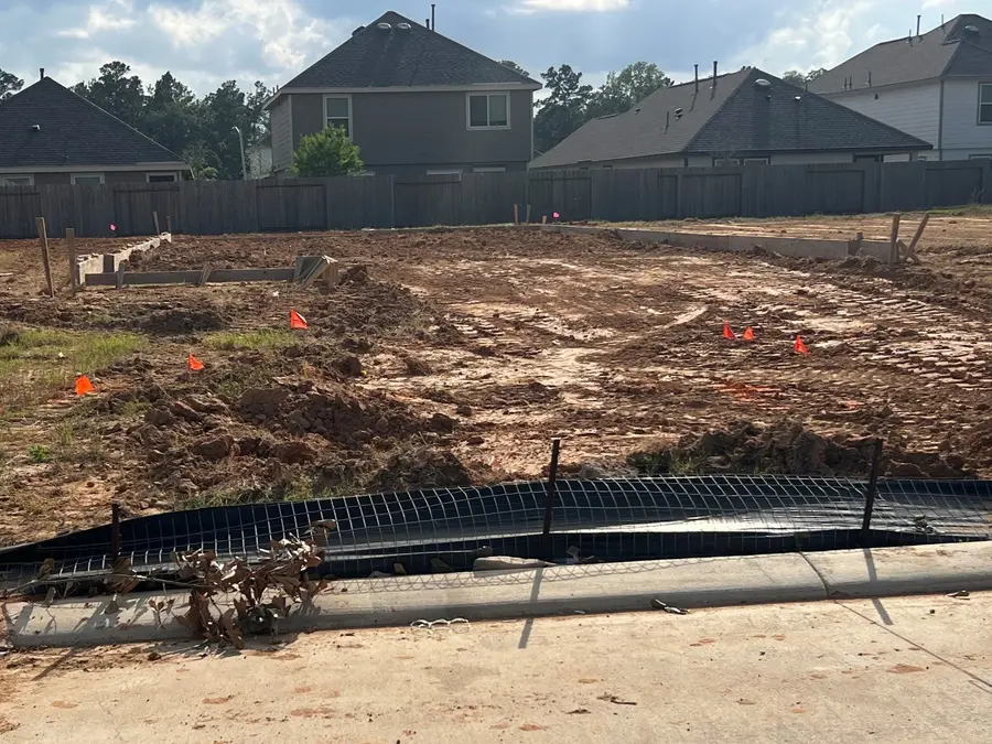 2974 Sir Ian Blake Drive, Conroe, TX 77301 - #2