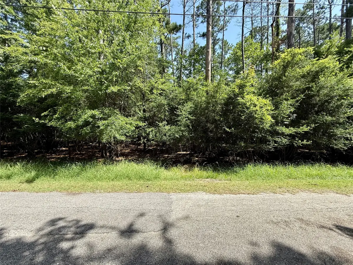 155 W Lake Drive, Huffman, TX 77336 - #1