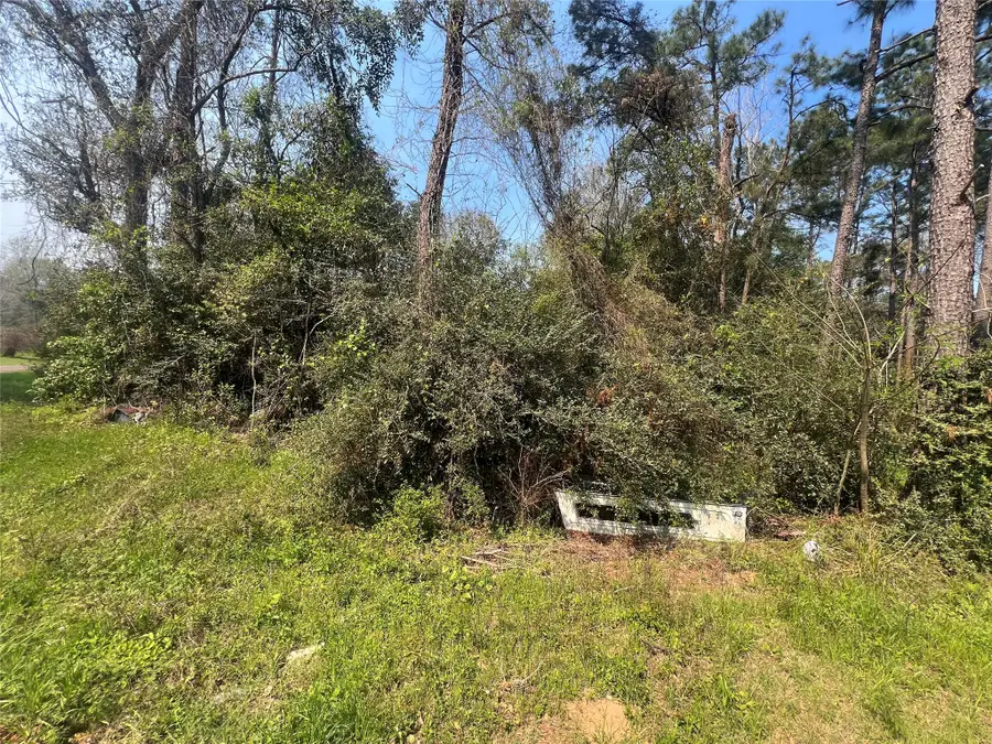 TBD Red Fox Lane, Coldspring, TX 77331 - #2