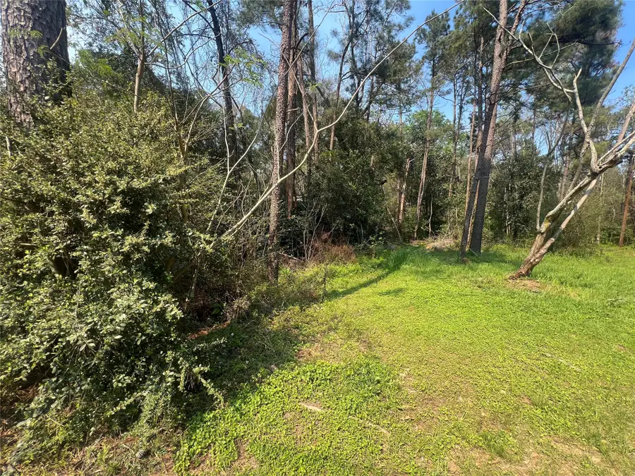 TBD Red Fox Lane, Coldspring, TX 77331 - #3