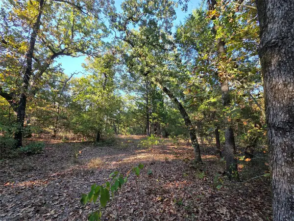 Lot 466 Cr-4710, Larue, TX 75770