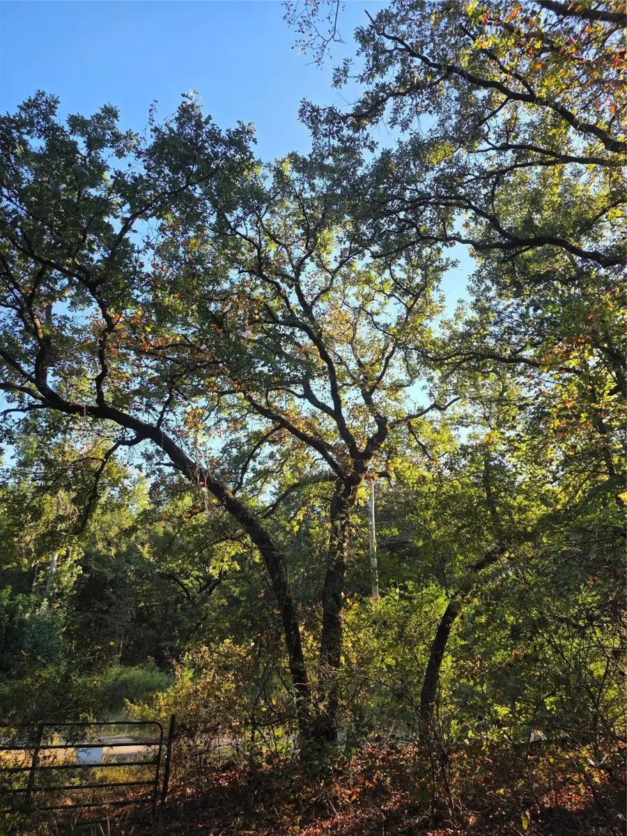 Lot 466 Cr-4710, Larue, TX 75770 - Image #2