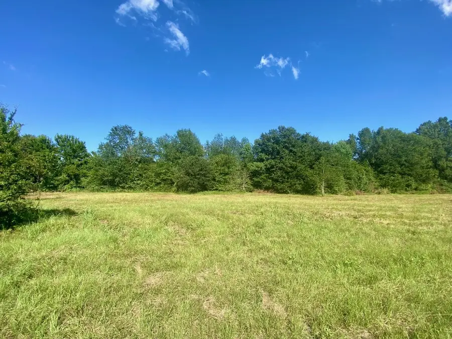 Lot #134 Jb Mcduff Drive, Crockett, TX 75835 - #3