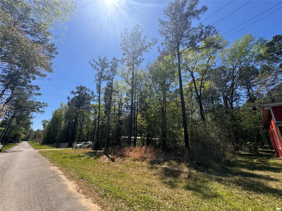 TBD River Jordan Drive, Shepherd, TX 77371 - #3