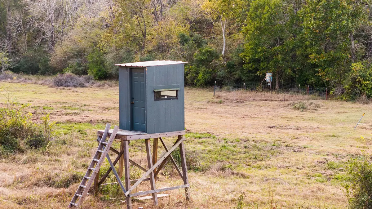 TBD Fm 2445, Navasota, TX 77868 - Image #1