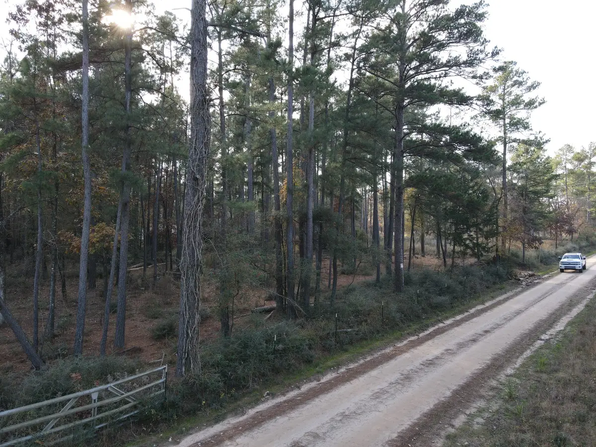 LOT 3 County Road 4025, Lovelady, TX 75851 - Image #1