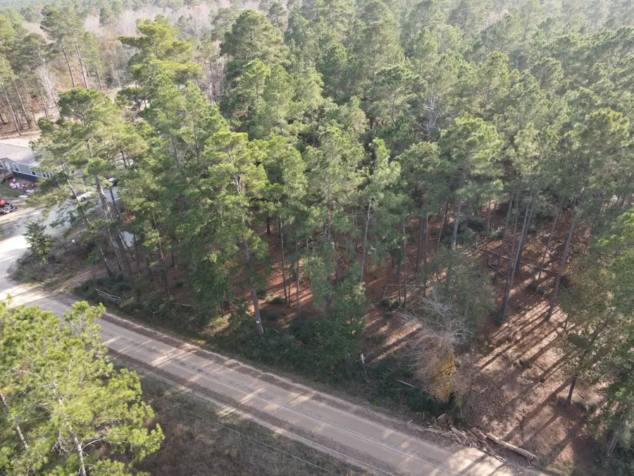 LOT 3 County Road 4025, Lovelady, TX 75851 - Image #2