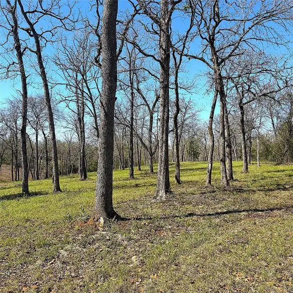 1264 County Road 1463, Centerville, TX 75833