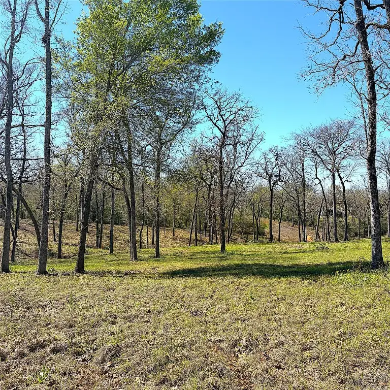 1264 County Road 1463, Centerville, TX 75833 - #3