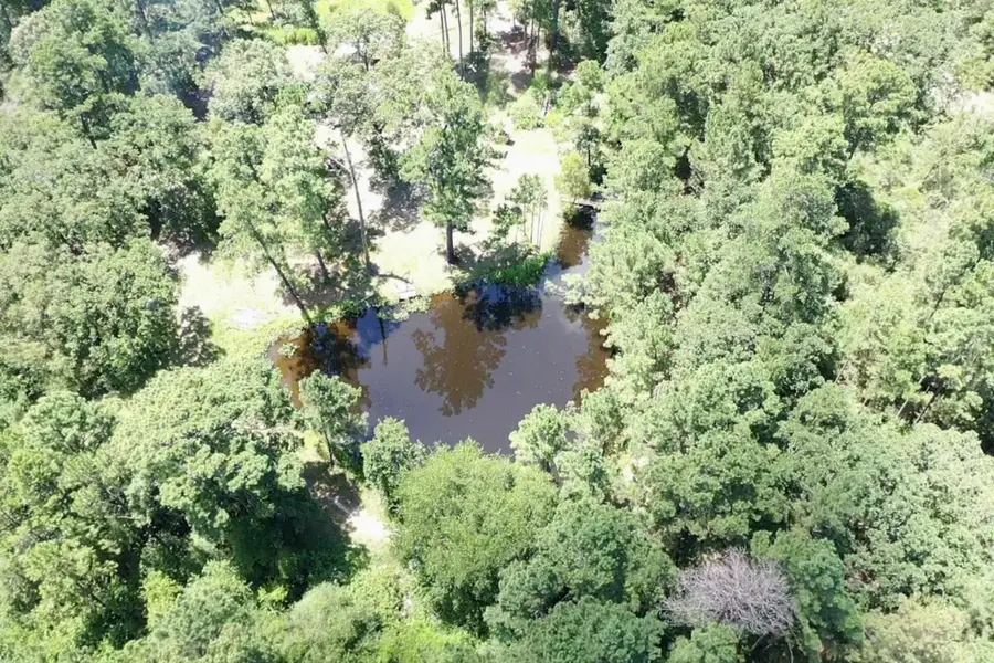 9175 Rocky Ridge Lane, Madisonville, TX 77864 - #3