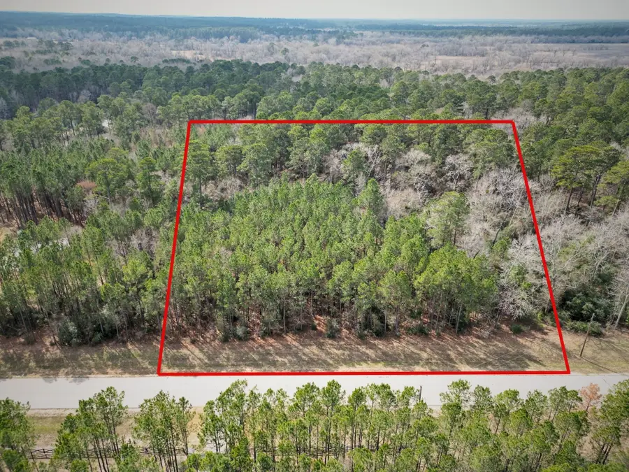 0 Larkspur Lane, New Waverly, TX 77358 - #2