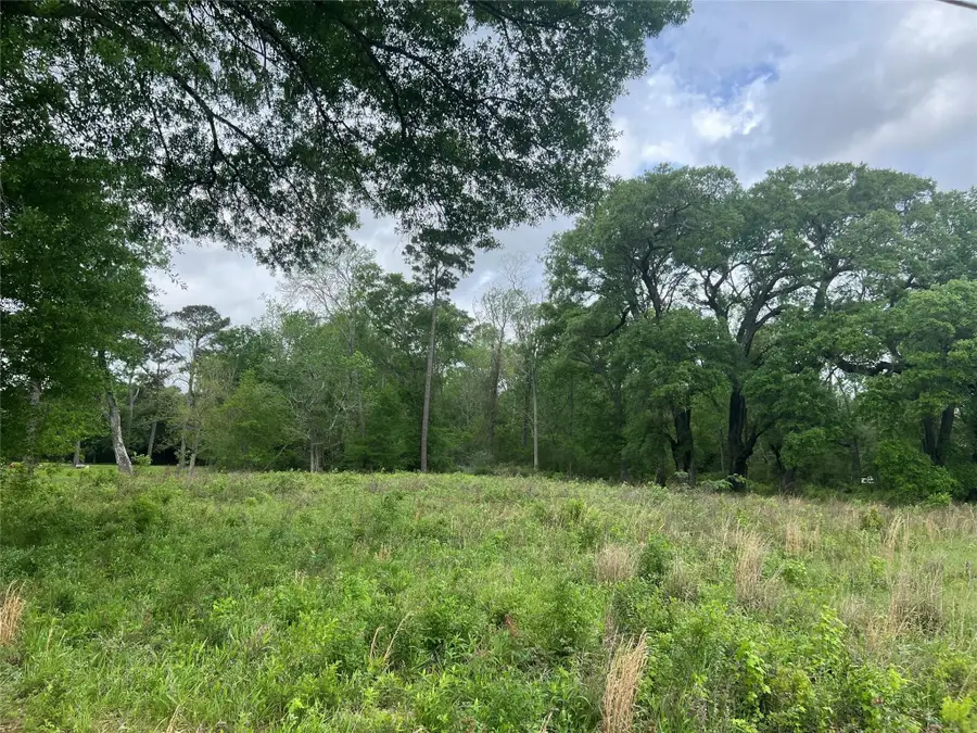 000 N Mlk Drive, Ames, TX 77575 - #2