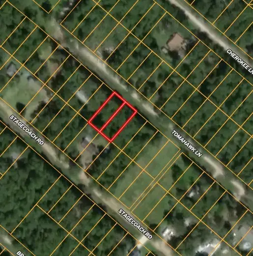 115 Tomahawk Trail, Livingston, TX 77351 - Image #1