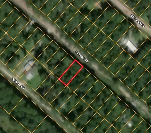 115 Tomahawk Trail, Livingston, TX 77351 - Image #3